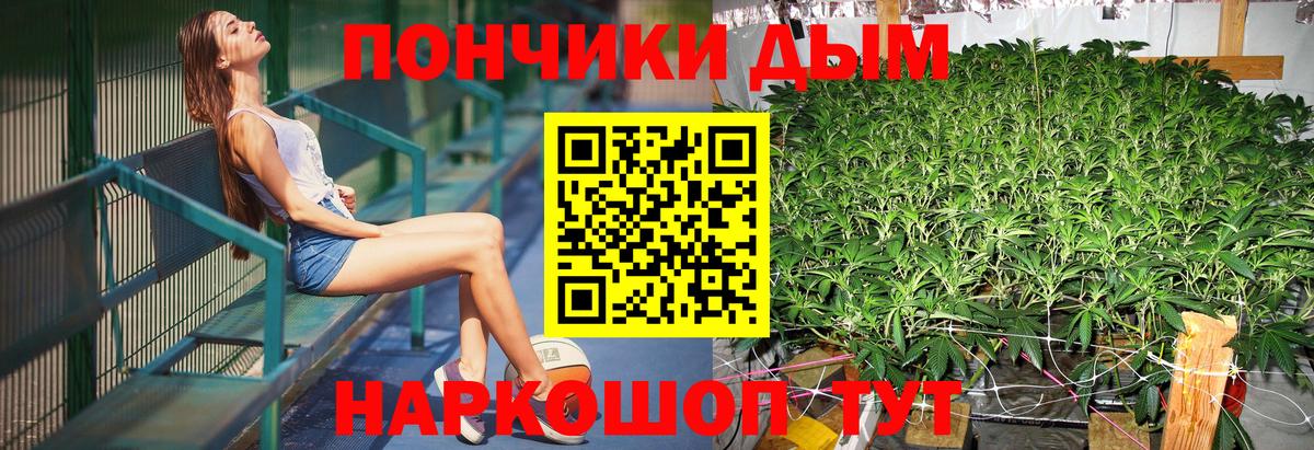 Бошки Шишки семена Осинники